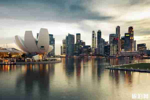 新加坡入境卡2019样本 新加坡入境指南