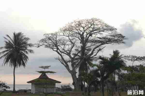 印度尼西亚疫情禁止中国人入境，附具体限制内容