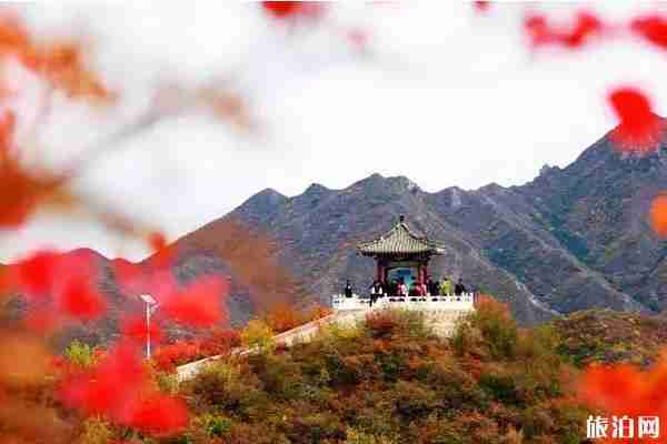 2019門(mén)頭溝西達(dá)摩村紅葉節(jié)門(mén)票+時(shí)間+地點(diǎn)+介紹