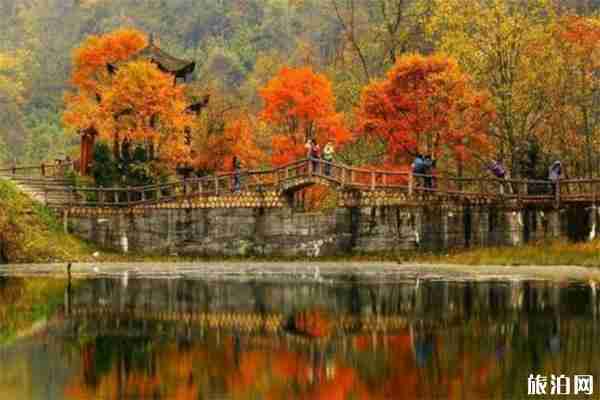 雅安二郎山喇叭河景區門票+觀光車費用+住宿