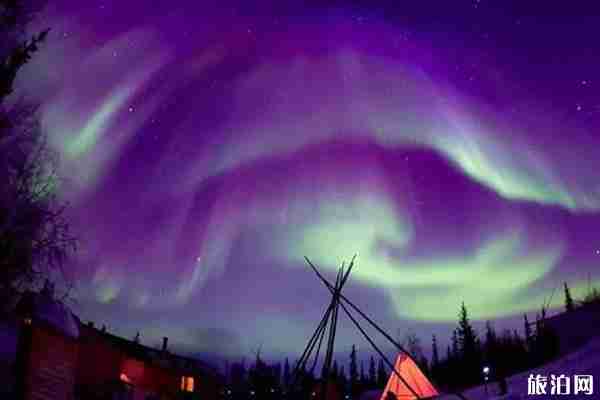 加拿大签证指纹预约攻略