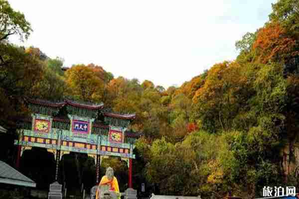 老君山紅葉什么時候最美 老君山紅葉觀賞地點推薦