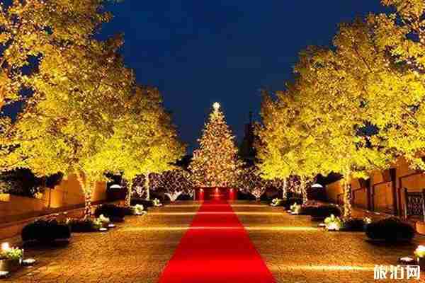 2019日本東京燈展時間+地點+介紹 2019日本東京燈展攻略整理