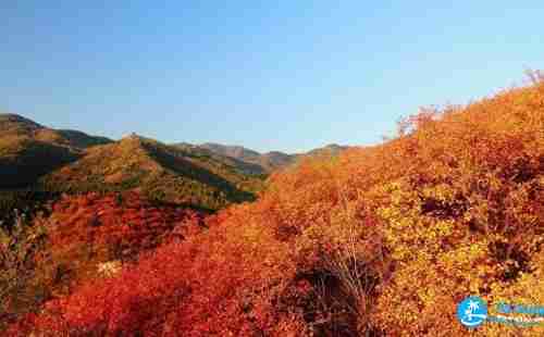 香山纜車多少錢