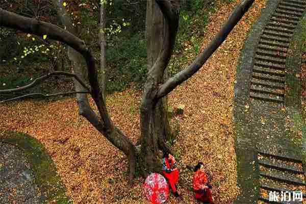 南京溧水赏秋的好地方哪些 南京溧水秋天适合玩的地方推荐