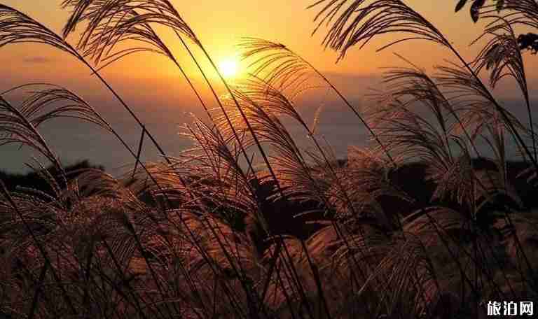 北京11个市属公园进入秋季观赏期（公园名单）