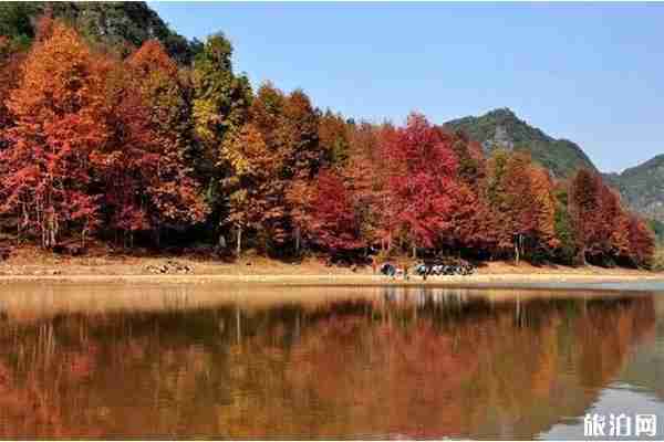 柳州赏秋好去处 柳州秋天适合去哪里