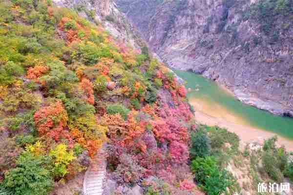2019郑国渠红叶节收门票吗 2019郑国渠红叶节时间+地点+交通