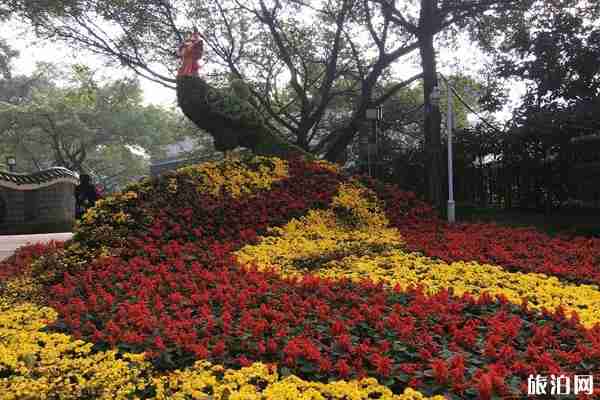 2019重庆鹅岭公园菊花展时间地点+展览看点