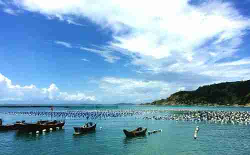 南麂島怎么去 南麂島自由行攻略