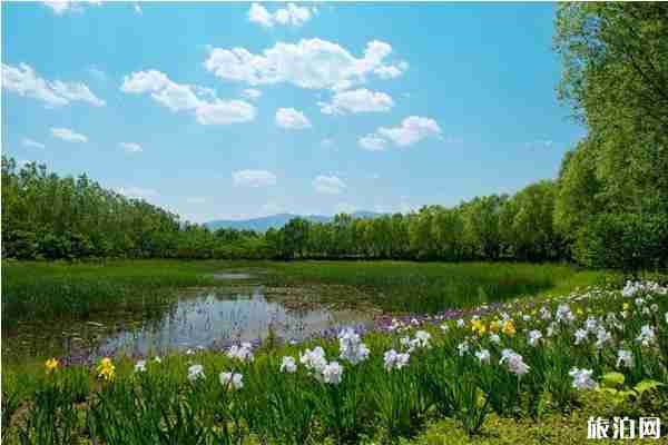 北京翠湖湿地公园门票预约攻略