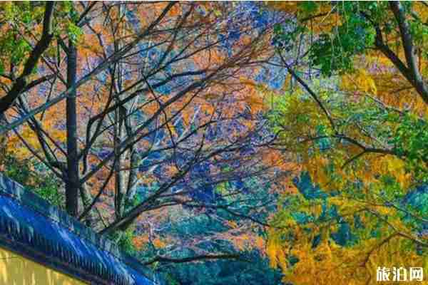 宁波北仑秋季旅游景点推荐