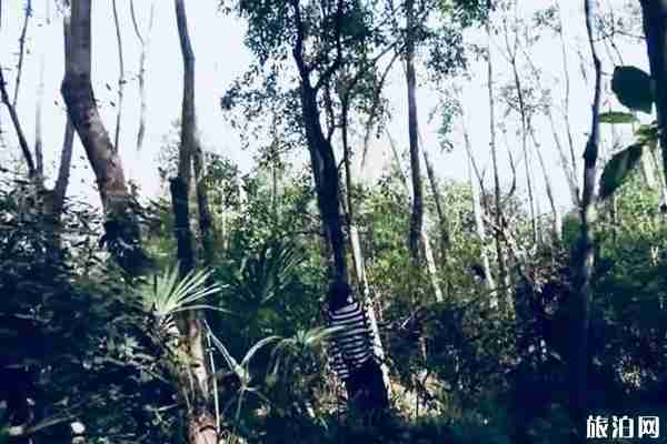 世界最恐怖旅游景点整理