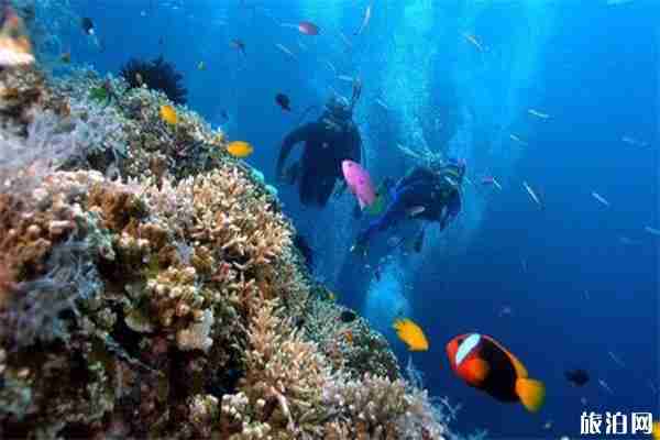 越南芽庄海上滑翔伞多少钱