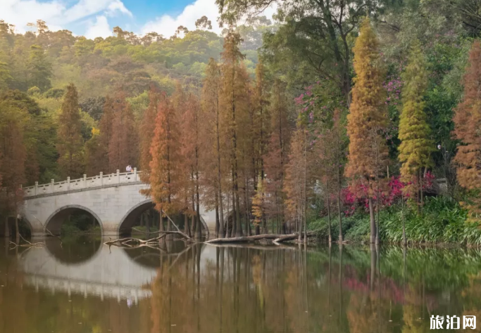 广州秋天适合去哪里玩 广州周边适合秋天去玩的地方