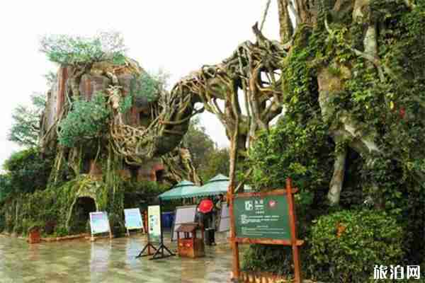 云南野生动物园花费多少钱 喂小动物会花费多少钱