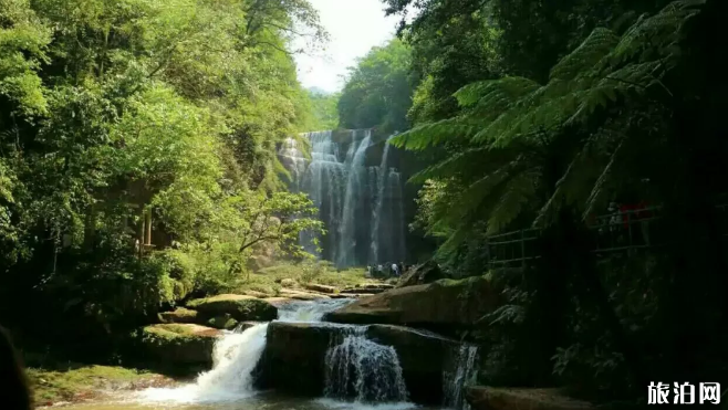 贵州遵义旅游必去的几个旅游景点