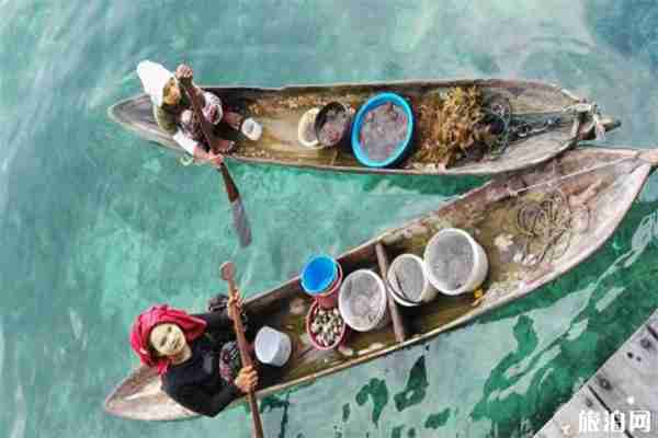 仙本那海鮮購買攻略