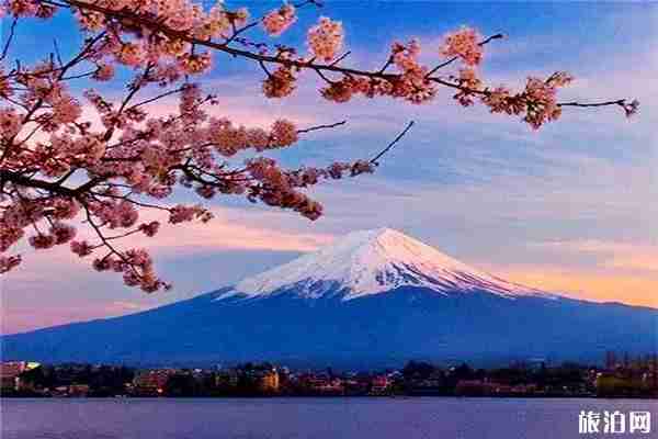 日本急救電話號碼+中國外交部呼叫中心電話