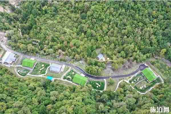 九寨溝可以看熊貓嗎