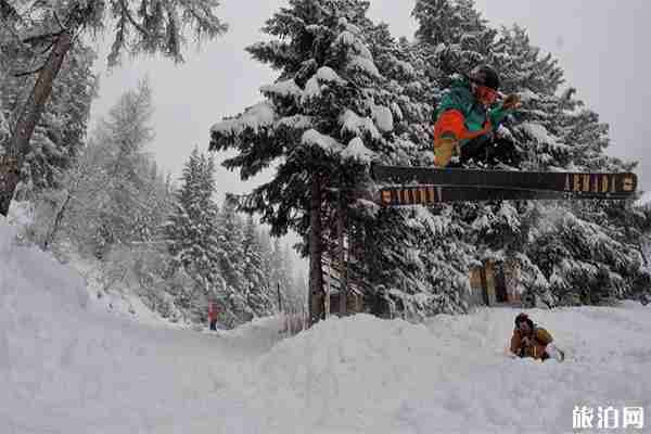 双板滑雪技术详解