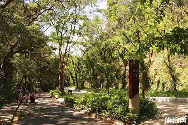 深圳東湖公園可以釣魚嗎 附菊花展交通管制