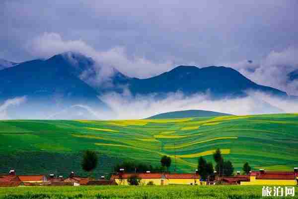 西北旅游最佳路线推荐（茶卡盐湖+黑马河+翡翠湖）