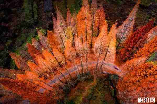 三明龍棲山游玩攻略