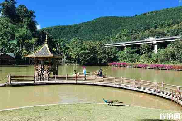 西雙版納原始森林公園叢林飛躍多少錢 公園門票+開放時間