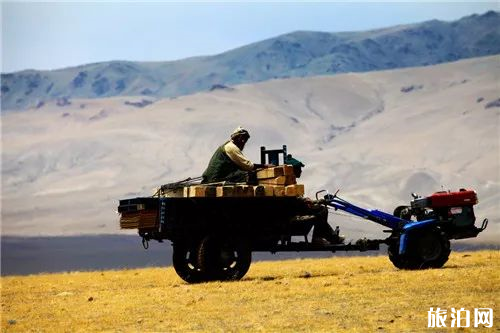 第一次去西藏會有高原反應嗎？