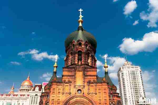 2020外地返哈尔滨需要什么手续