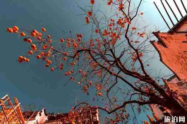 婺源旅游攻略 婺源必去的三個景點