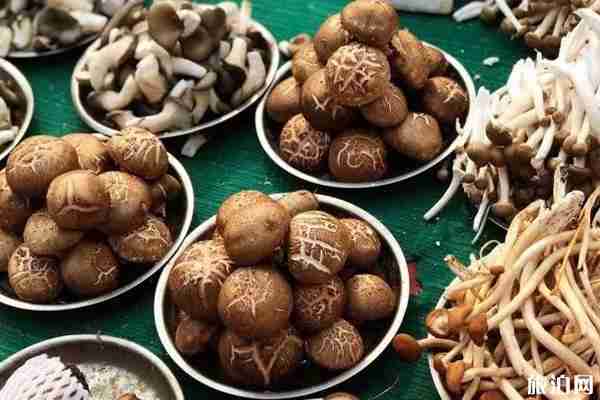 朝外地区便民早市几点开门 朝外地区便民早市怎么样