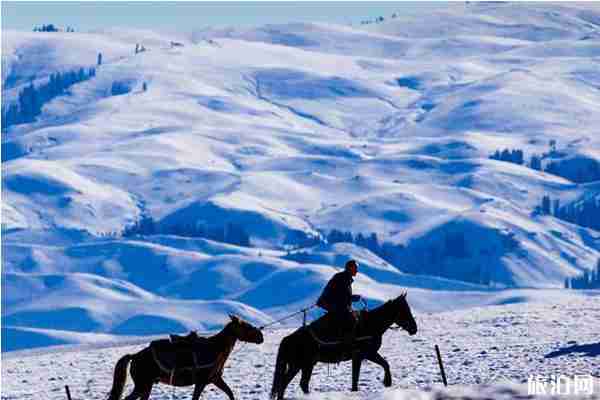 冬天去哪里看雪比較好中國國內(nèi)推薦