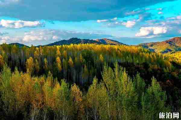 長白山有哪些景點 農夫山泉水源地