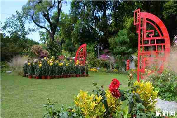 2019福州西湖菊花展時間+地點 2019福州西湖菊花展攻略