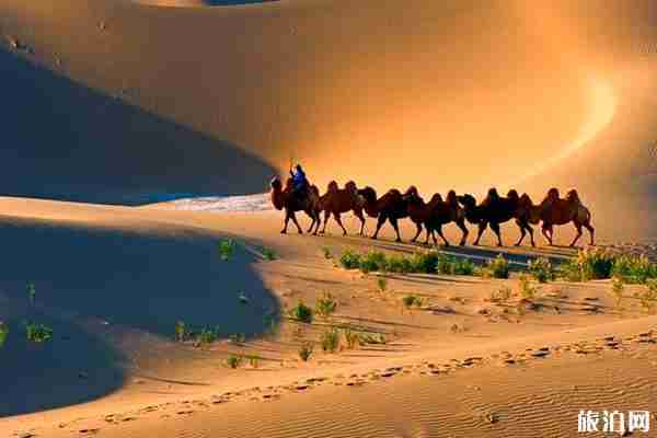 呼和浩特旅游攻略