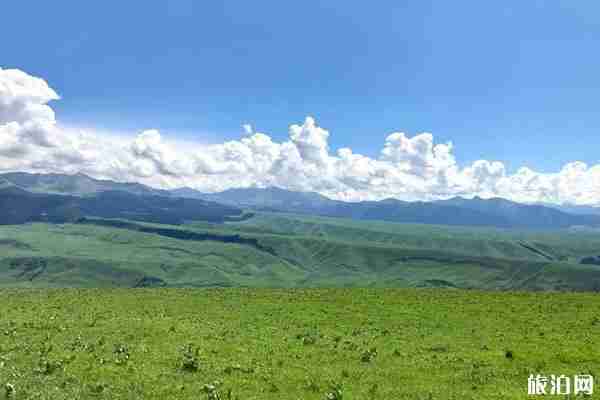 新疆伊犁最佳旅游時間 伊犁旅游穿衣指南