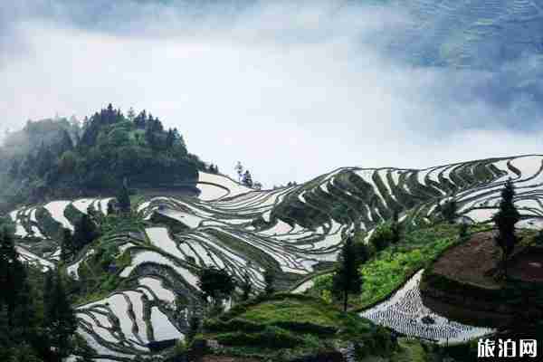 2019貴州286個A級景區半價有玩（景區名單+優惠時間）