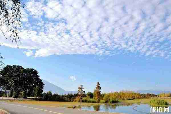 2020全國(guó)旅游年票云南景點(diǎn)名單+購(gòu)買(mǎi)+使用