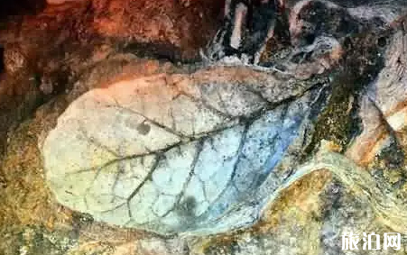 中国十大最奇特村庄