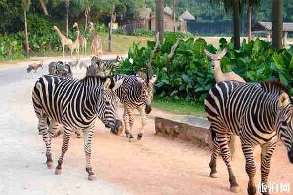 成都12月免費(fèi)景點(diǎn)有哪些 在12月的免費(fèi)開(kāi)放日的四川景區(qū)