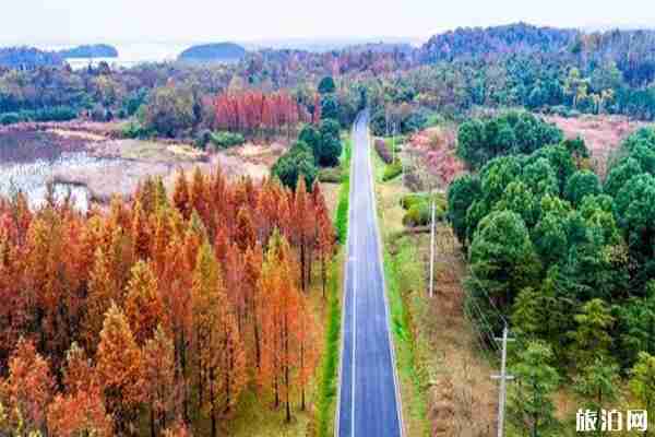 池州對淮北宣城景區免費信息 附免費開放周時間2019