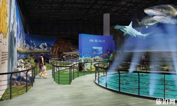 鄭州有哪些博物館