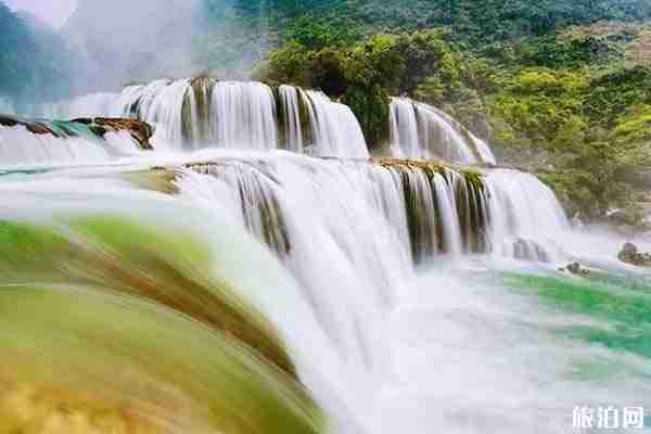 廣西蕎麥花什么時候開 廣西蕎麥花海在什么地方+景點推薦