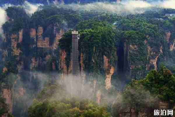 張家界百龍天梯介紹（特色景點）