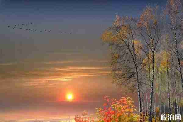 境外转机怎么办理 境外转机攻略