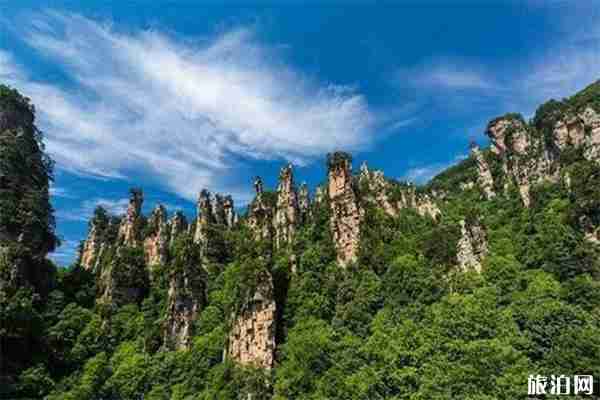 張家界高鐵專列開通 張家界系列景區免票