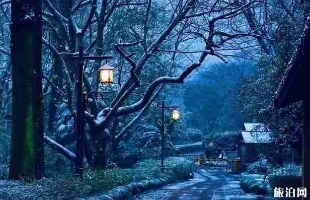 浙江適合看雪的地方推薦