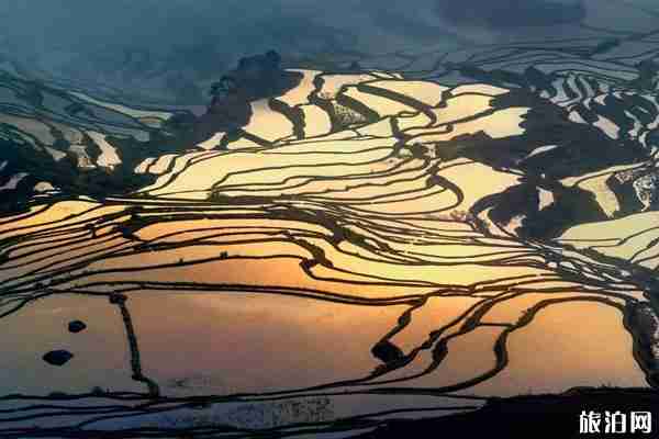 云南元陽梯田景點介紹